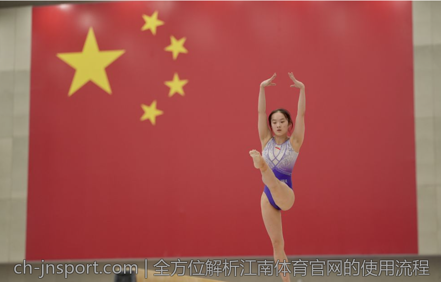 全方位解析江南体育官网的使用流程
